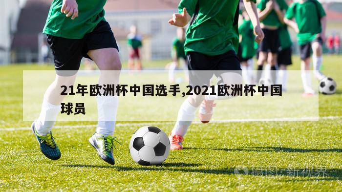 21年欧洲杯中国选手,2021欧洲杯中国球员