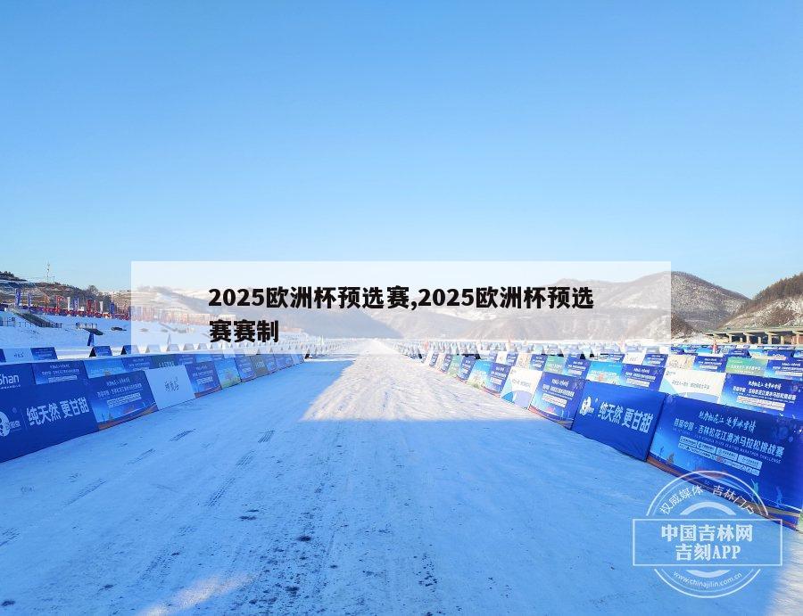 2025欧洲杯预选赛,2025欧洲杯预选赛赛制